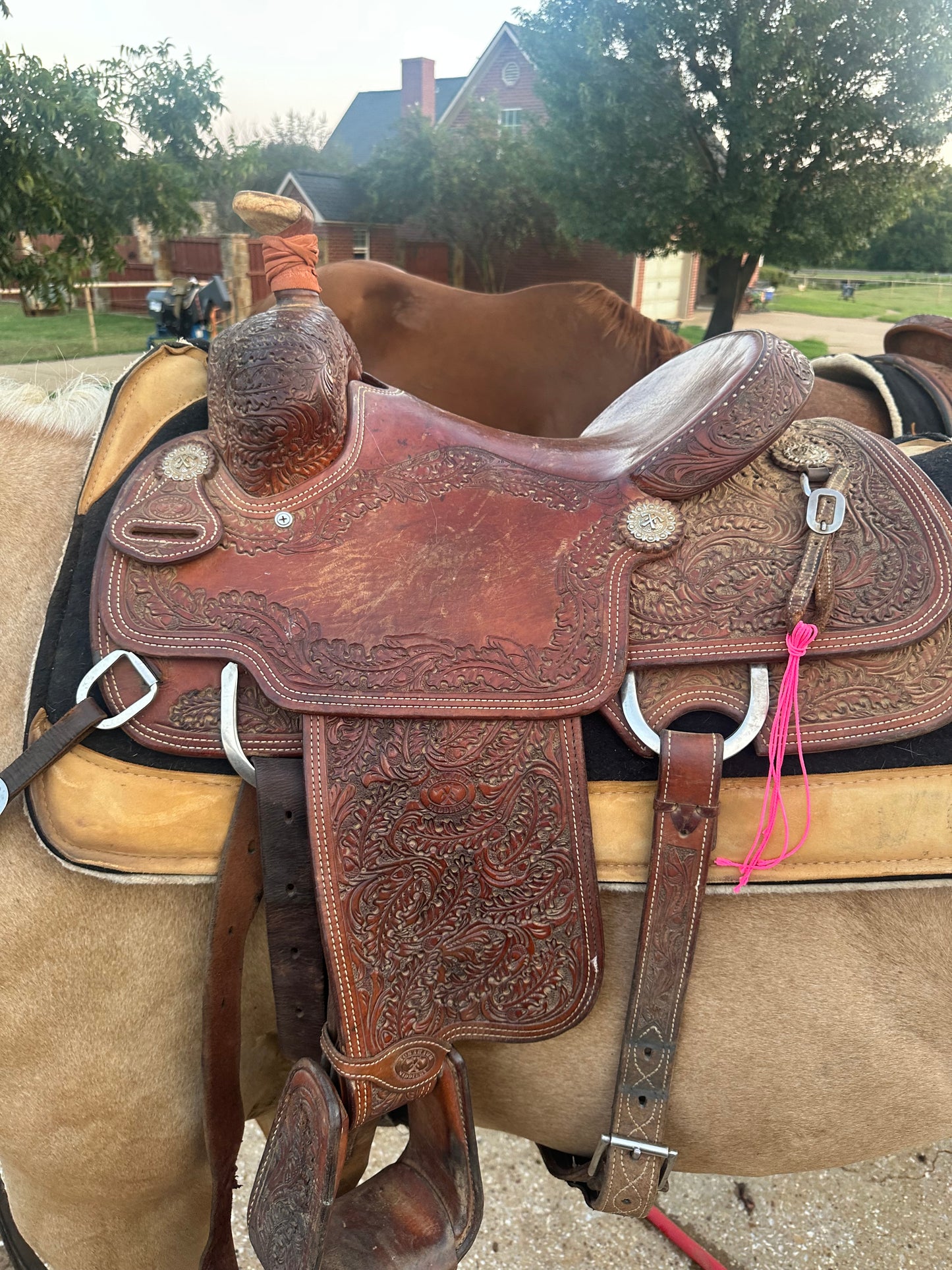USED 14” Roping Saddle