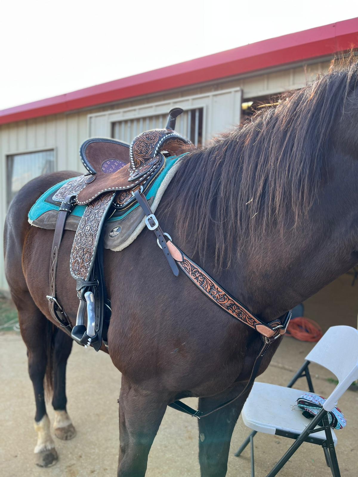 Louis best sale vuitton saddle